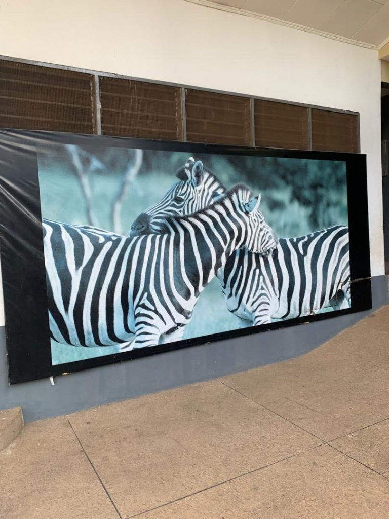 DATUS COLLEGE ON AN EXCURSION