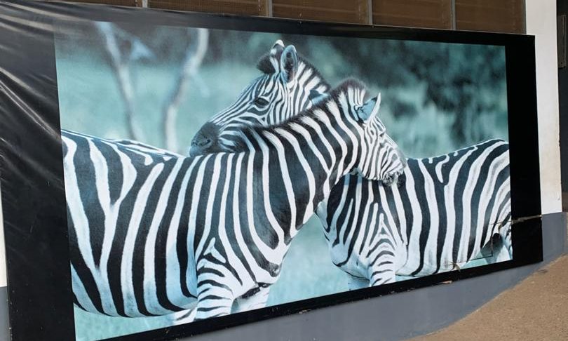 DATUS COLLEGE ON AN EXCURSION